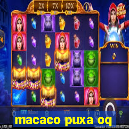 macaco puxa oq